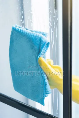 House Cleaning Service