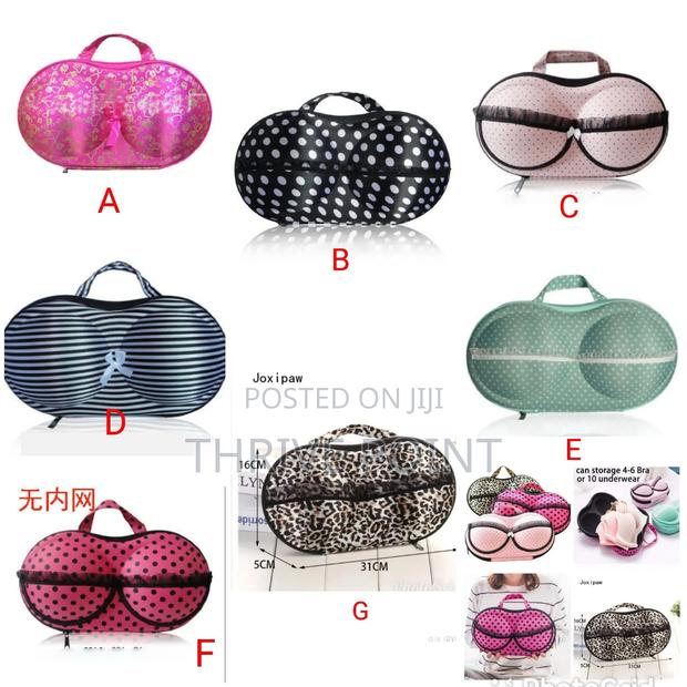 Bra Underwear Lingerie Case /Travel Bag Storage Box