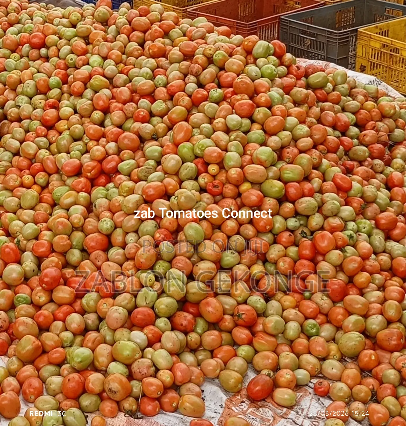 Zab Tomatoes Connect
