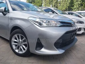 Toyota Corolla Fielder 2019 Silver