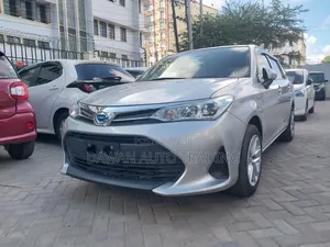 Toyota Corolla Fielder 2019 Silver