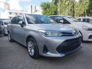 Toyota Corolla Fielder 2019 Silver