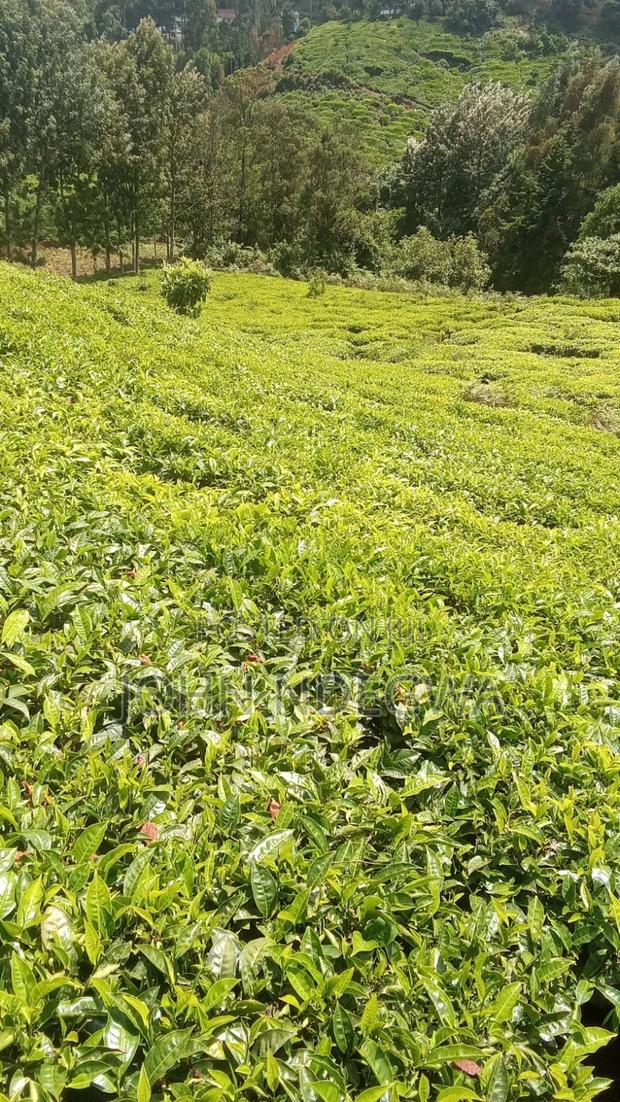 Gatundu South Prime Land