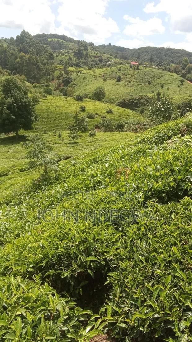 Gatundu South Prime Land - thumbnail 7