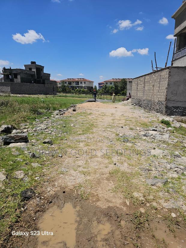 Prime Residential Plot in Secure Tamarind Gated Community, Utawala - thumbnail 4