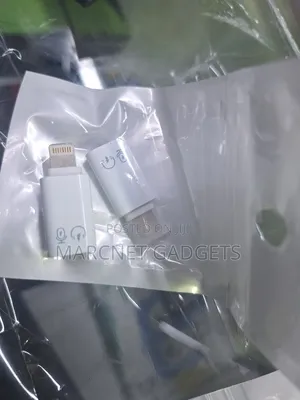 iPhone Lightning to Type C Female Converter Microphone Earphone Charge