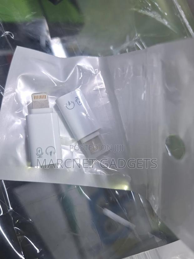 iPhone Lightning to Type C Female Converter Microphone Earphone Charge