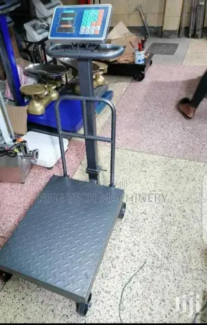 Weight Scale Machine/600kg Machine