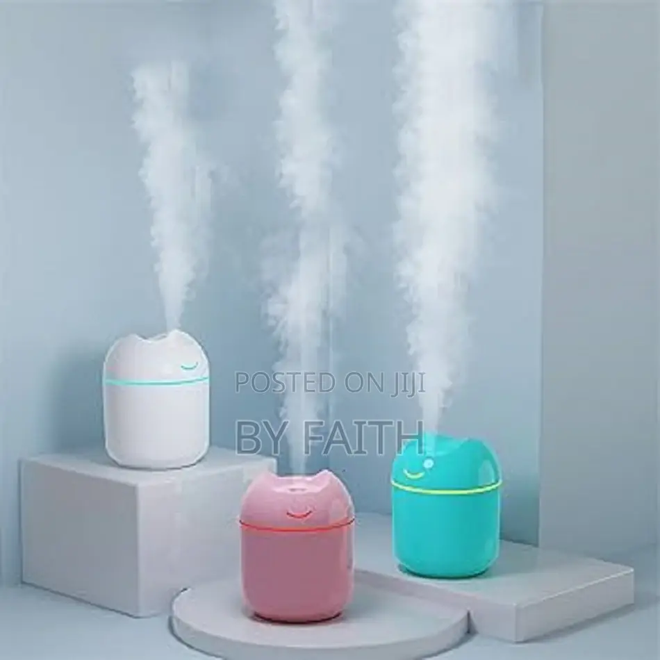 Essential Oil Diffuser Humidifier/**/*
