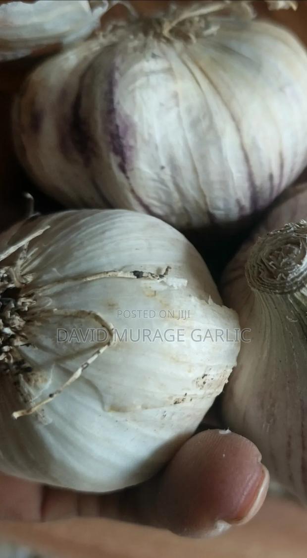 Garlic Seeds Fresh From the Farm - thumbnail 3
