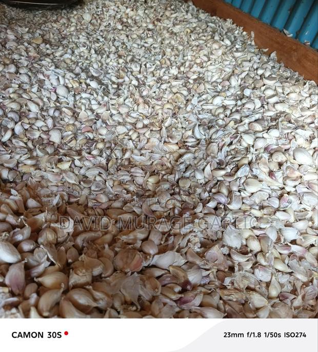 Garlic Seeds Fresh From the Farm - thumbnail 5