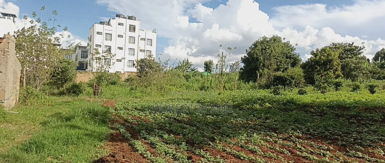 100 X 100 Plot for Sale