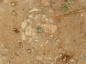 100 X 100 Plot for Sale