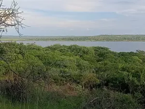 Prime Lakefront (Lake Victoria) 2 X 16ac