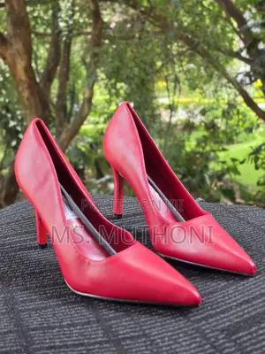 Official / Casual Wear Red Bottoms Pumps / Heels