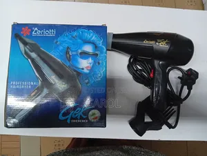 Professional Hair Dryer