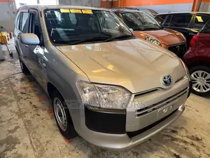 Toyota Succeed 2019 Gray
