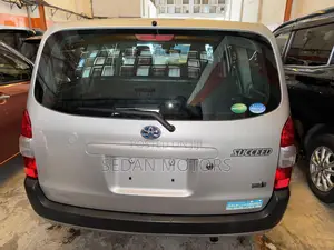 Toyota Succeed 2019 Gray