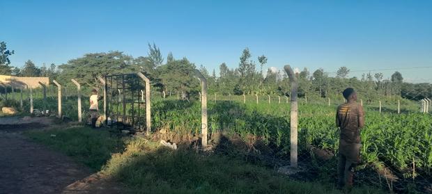 Eighth-Acre Plot at Thika Muthaara