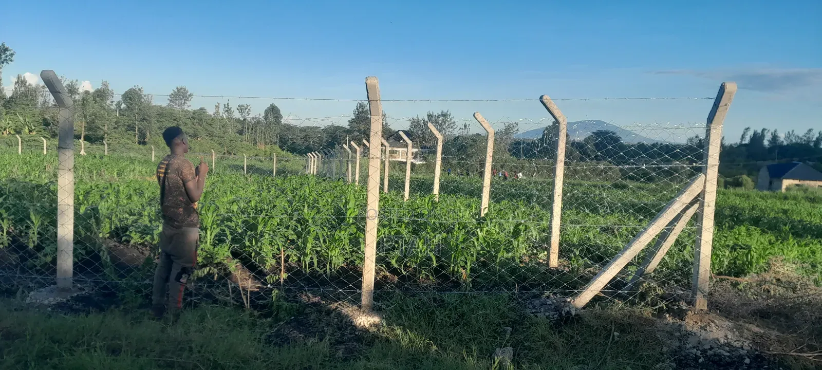 Eighth-Acre Plot at Thika Muthaara
