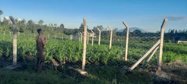 Eighth-Acre Plot at Thika Muthaara - thumbnail 2