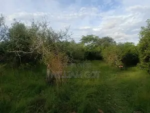 Utonga Farmland