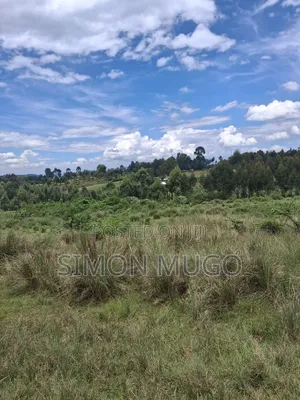Olkalou Kaimbaga 75 Acres Ideal for Dairy Farming, Wheat Farming,