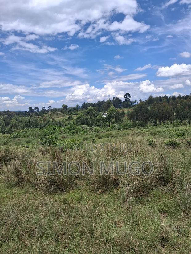 Olkalou Kaimbaga 75 Acres Ideal for Dairy Farming, Wheat Farming,