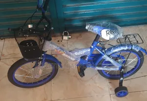 Kids Bicycle- Kids Bikes for Size 16