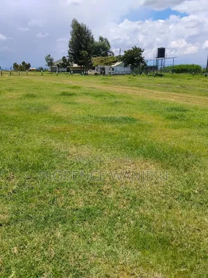 50 by 100 Plots Within Mt Kenya Region