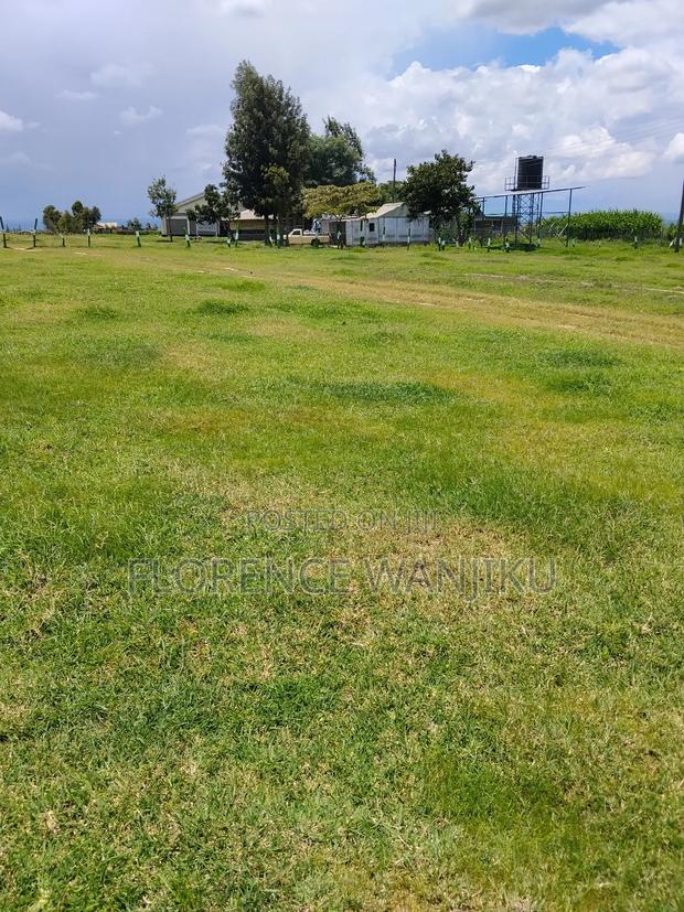 50 by 100 Plots Within Mt Kenya Region
