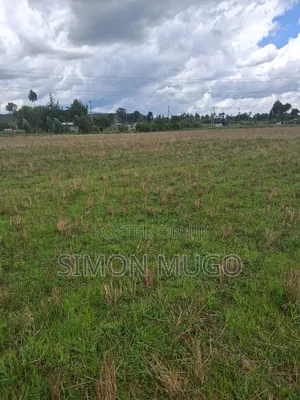 Olkalou Kaimbaga Prime Agricultural 32 Acres Quick Sale Per Acre