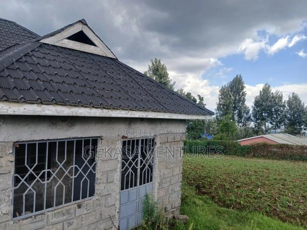 3bdrm House in Ngata for sale - thumbnail 4