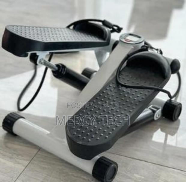 *Mini Stepper* Exercise Machine