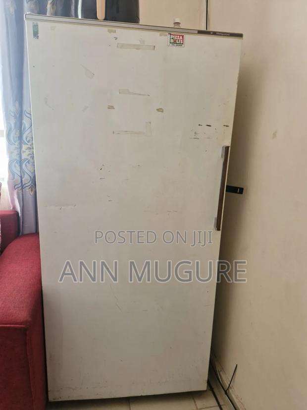 Ex Us Fridge - thumbnail 2