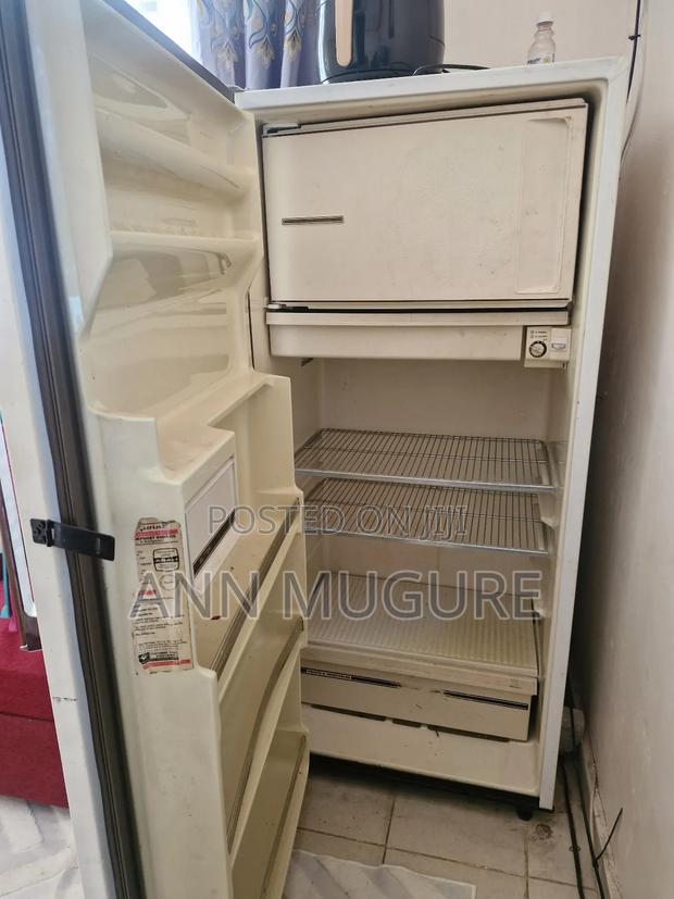 Ex Us Fridge - thumbnail 4