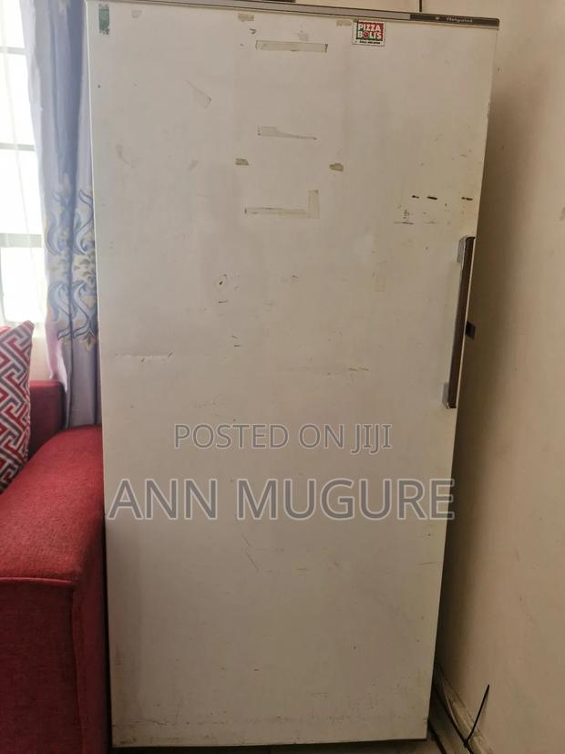 Ex Us Fridge - thumbnail 5