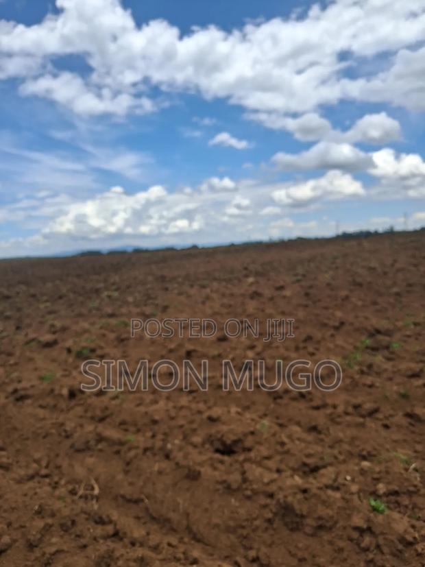 Olkalou Kaimbaga Prime Agricultural 99 Acres - thumbnail 2