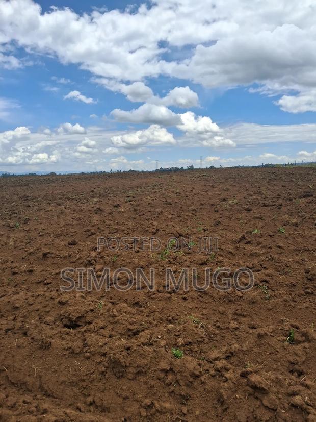 Olkalou Kaimbaga Prime Agricultural 99 Acres - thumbnail 3