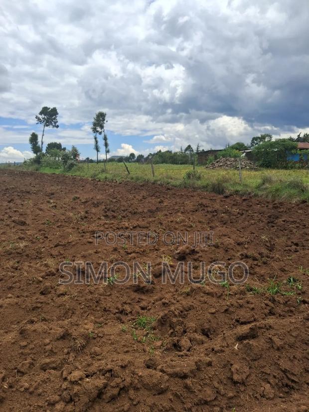 Olkalou Kaimbaga Prime Agricultural 99 Acres - thumbnail 4