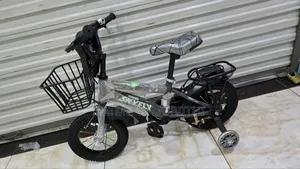 Skyfly Kid's Bicycle Size 12 Strong Frame