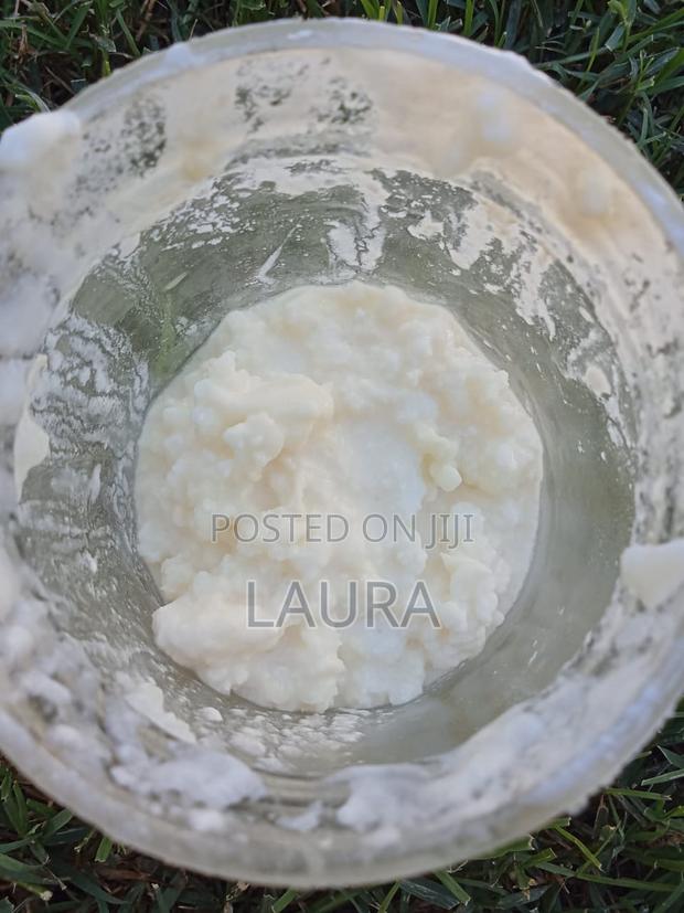 Kefir Grains for Fermented Milk - thumbnail 4
