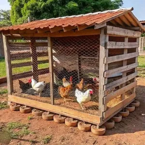 Outdoor Chicken Coop