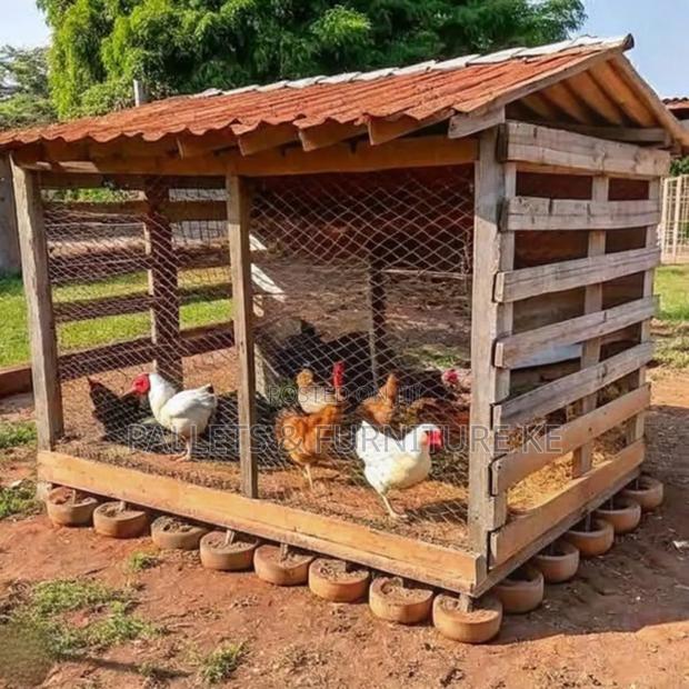 Outdoor Chicken Coop