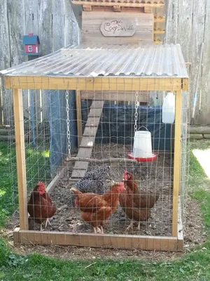 Welded Wire Chicken House