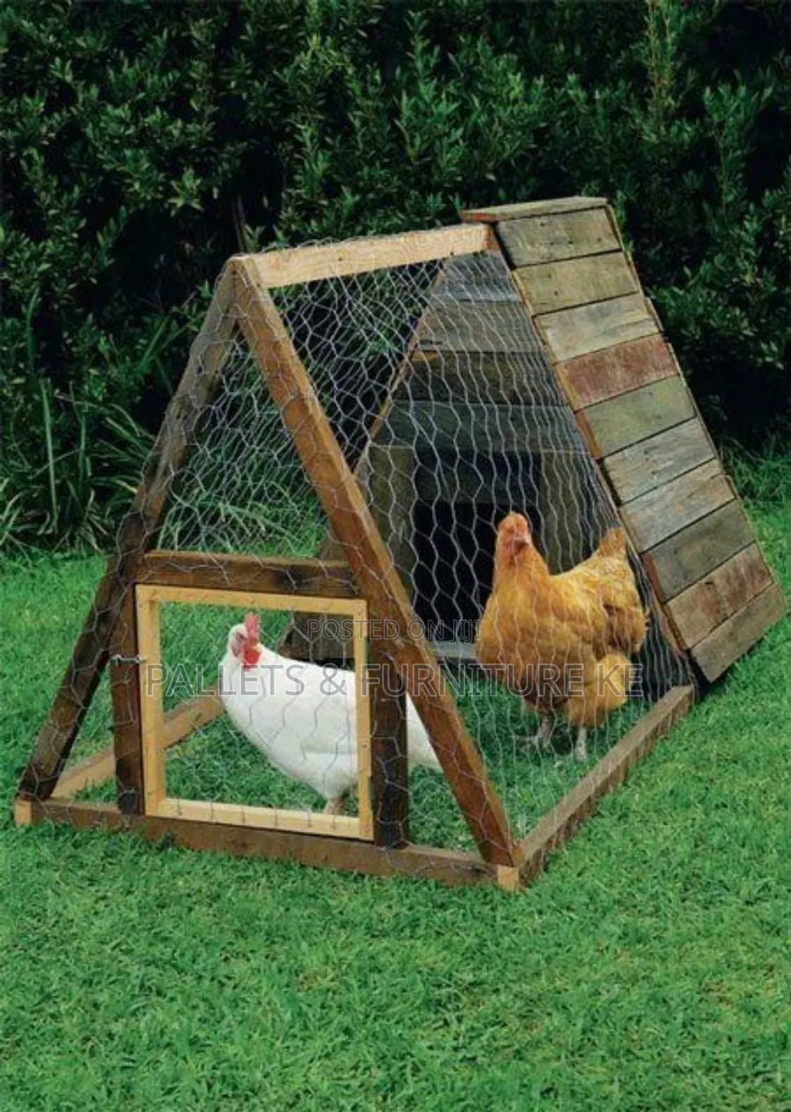 Wood Shield Chicken Run