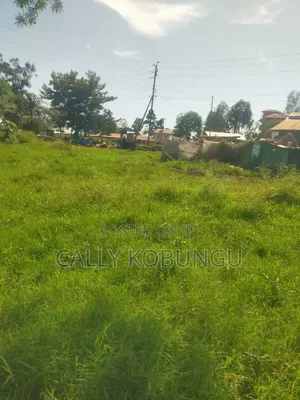 0.04 Ha at Daraja Mbili, Mayatta B