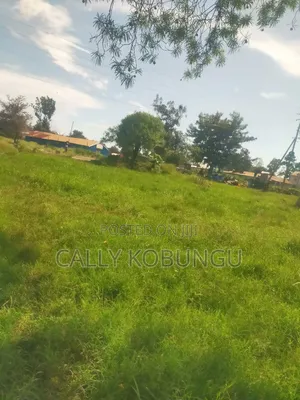 0.04 Ha at Daraja Mbili, Mayatta B