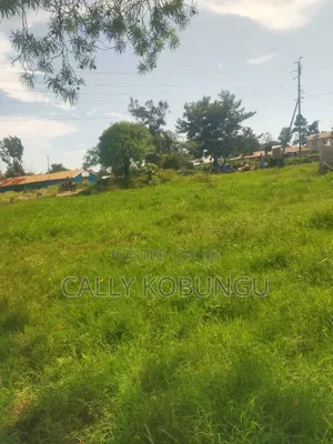 0.04 Ha at Daraja Mbili, Mayatta B