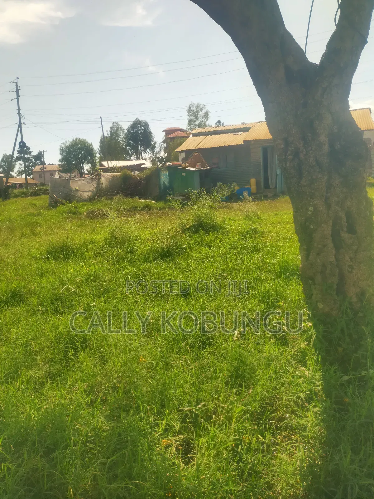 0.04 Ha at Daraja Mbili, Mayatta B
